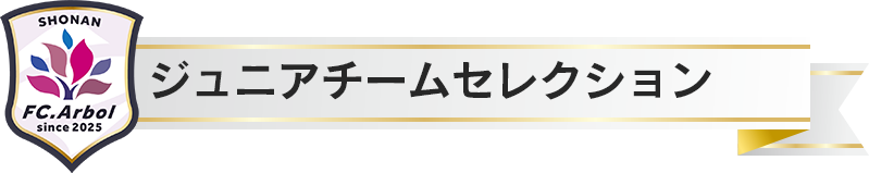 ジュニアチームセレクション