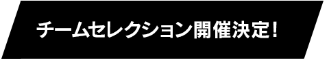 チームセレクション開催決定